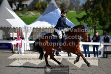 ref. photo 3560545