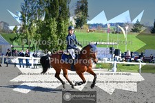 ref. photo 3560548