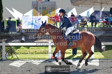 ref. photo 3560550