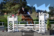 ref. photo 3560568