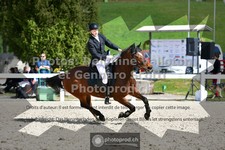 ref. photo 3560571