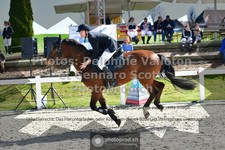 ref. photo 3560576