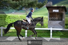 ref. photo 3560592