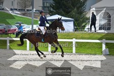 ref. photo 3560596