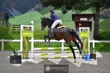 ref. photo 3560609