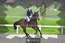 ref. photo 3560611