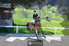 ref. photo 3560616
