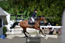 ref. photo 3560620
