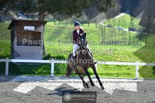 ref. photo 3560623