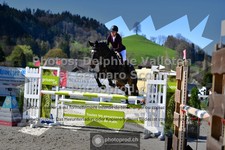 ref. photo 3560624