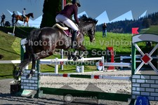 ref. photo 3560629