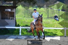 ref. photo 3560635