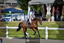 ref. photo 3560640
