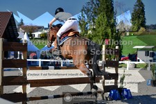 ref. photo 3560644
