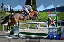 ref. photo 3560646