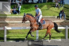 ref. photo 3560649