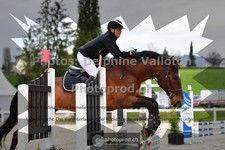 ref. photo 3560660