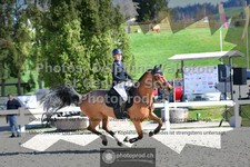 ref. photo 3560704
