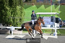 ref. photo 3560707