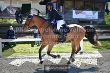 ref. photo 3560709