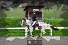 ref. photo 3560720