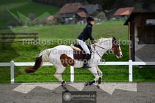 ref. photo 3560731