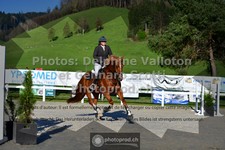 ref. photo 3560737