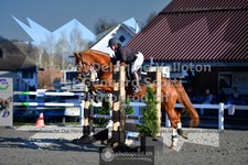 ref. photo 3560738