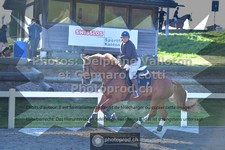 ref. photo 3560740