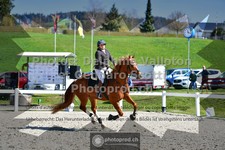 ref. photo 3560745