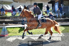 ref. photo 3560747