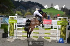 ref. photo 3560788