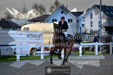 ref. photo 3560800