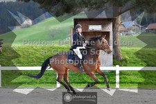 ref. photo 3560801