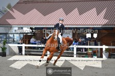 ref. photo 3560809