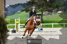 ref. photo 3560822