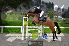 ref. photo 3560827