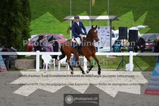 ref. photo 3560832
