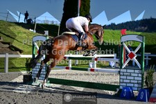 ref. photo 3560849