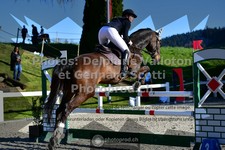 ref. photo 3560882