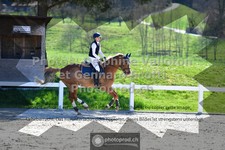 ref. photo 3560904