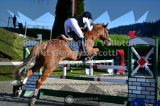 ref. photo 3560911