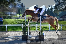 ref. photo 3560918