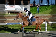 ref. photo 3560919