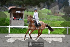 ref. photo 3560936