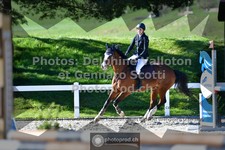 ref. photo 3560946