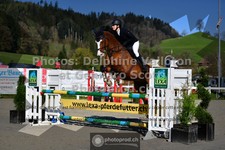 ref. photo 3560947