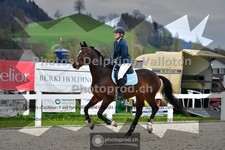 ref. photo 3560992