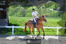 ref. photo 3560998