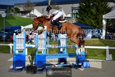 ref. photo 3560999